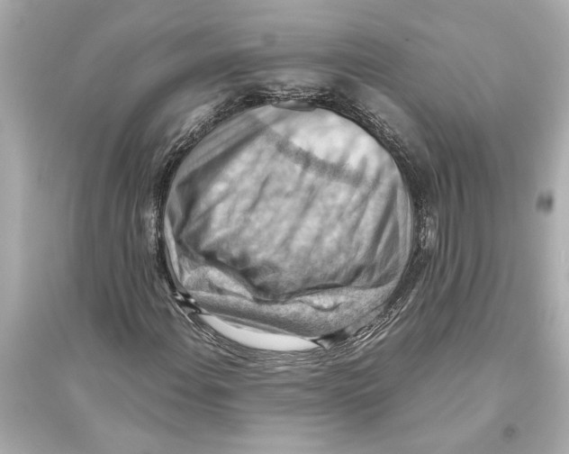 X0000093591108200711121118