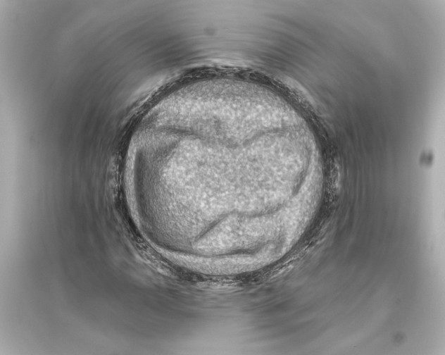 X0000093591110200711121118