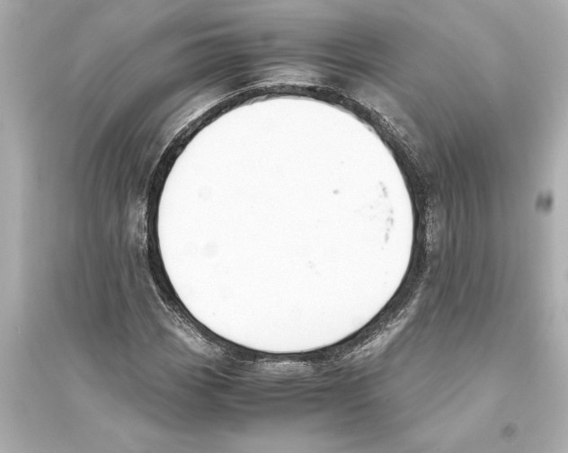 X0000093591113200711121118