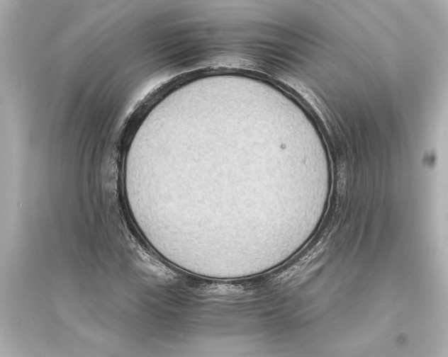 X0000093591115200711121118