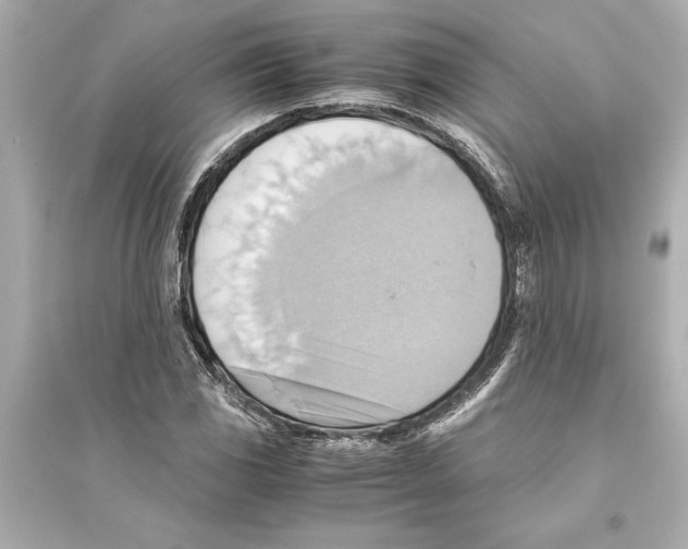 X0000093591117200711121118