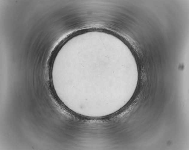 X0000093591118200711121118