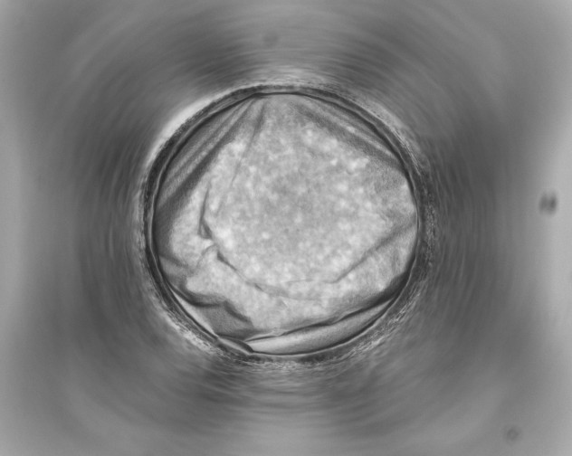 X0000093591120200711121118