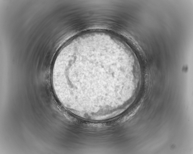 X0000093591121200711121118