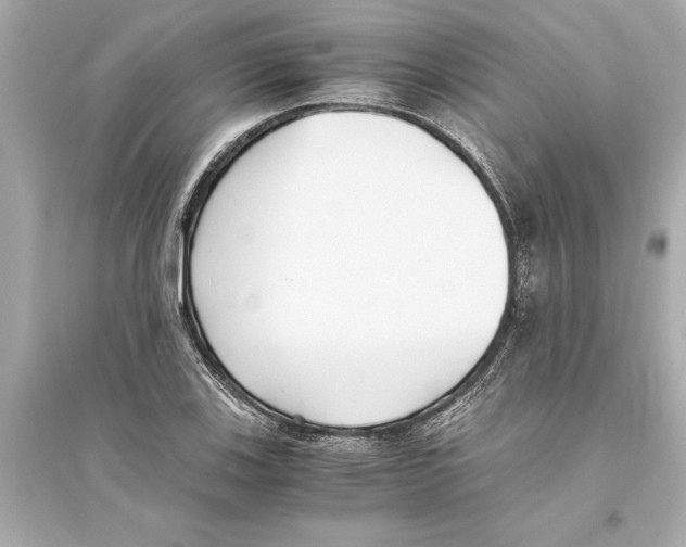 X0000093591123200711121118