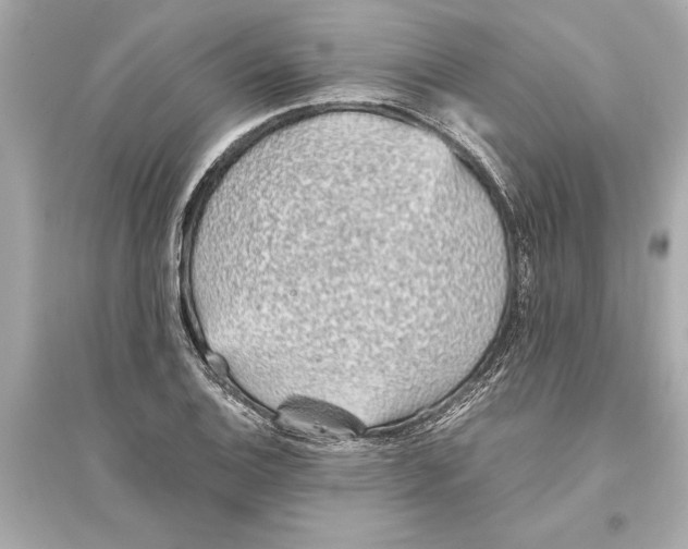 X0000093591124200711121118