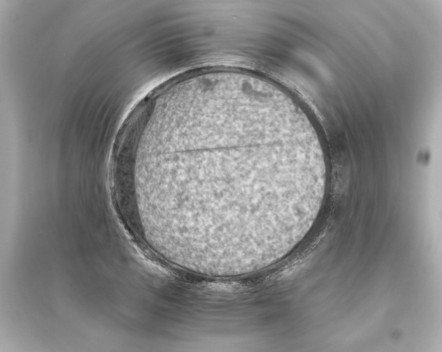 X0000093591125200711121118