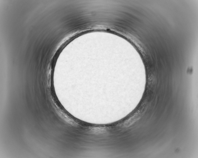 X0000093591126200711121118