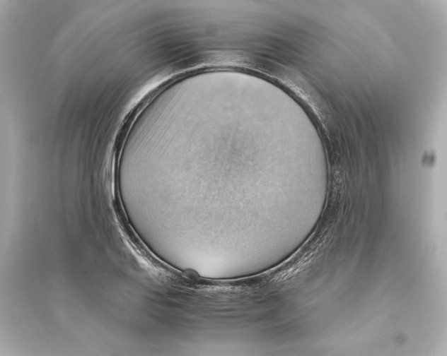 X0000093591127200711121118