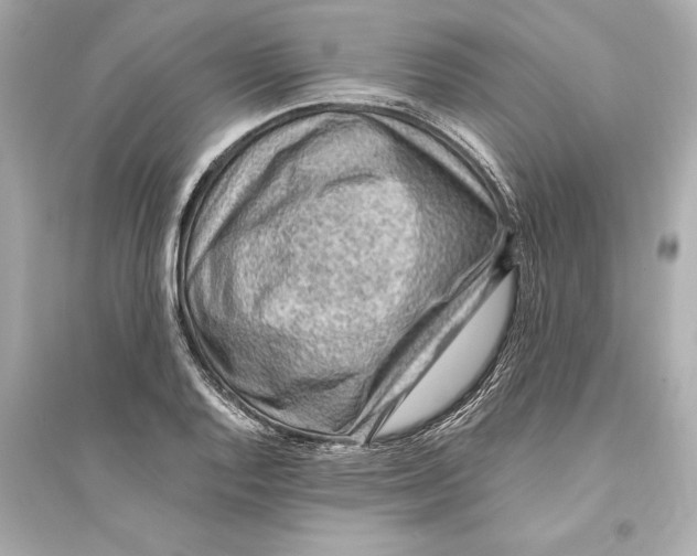 X0000093591128200711121118