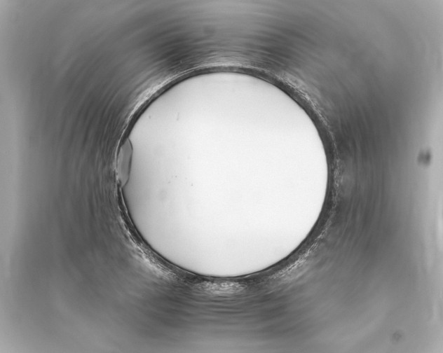 X0000093591129200711121118
