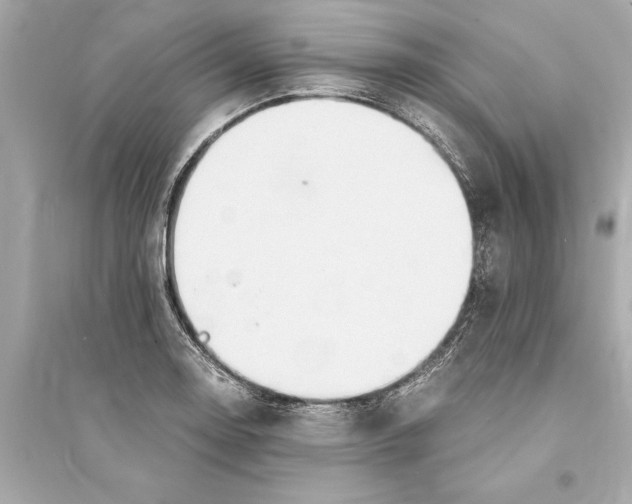 X0000093591130200711121118