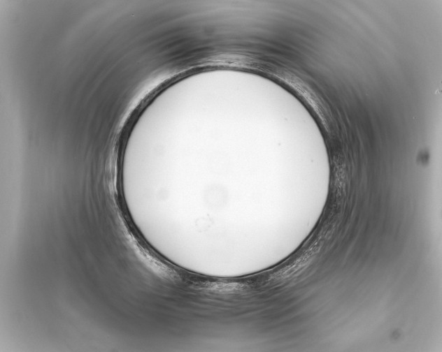 X0000093591131200711121118