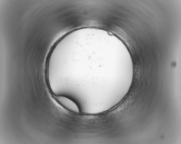 X0000093591135200711121118