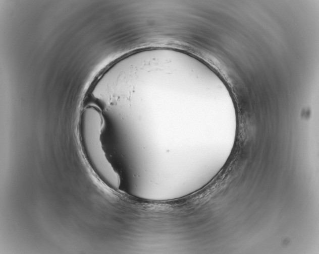 X0000093591136200711121118