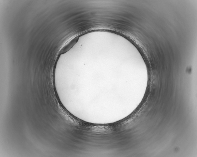 X0000093591137200711121118