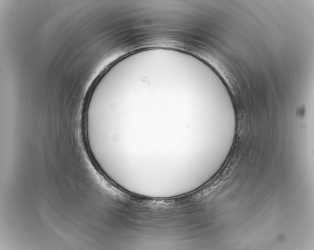 X0000093591139200711121118