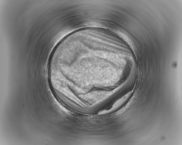 X0000093591141200711121118
