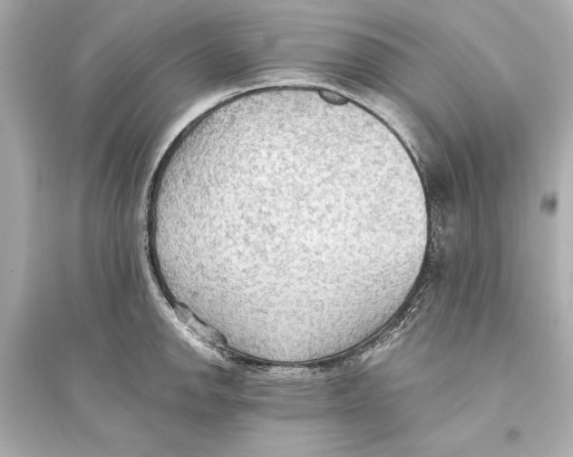 X0000093591142200711121118