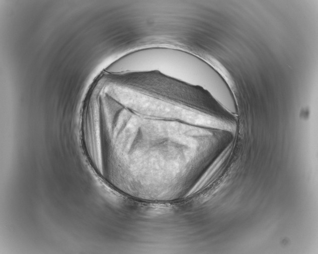 X0000093591144200711121118