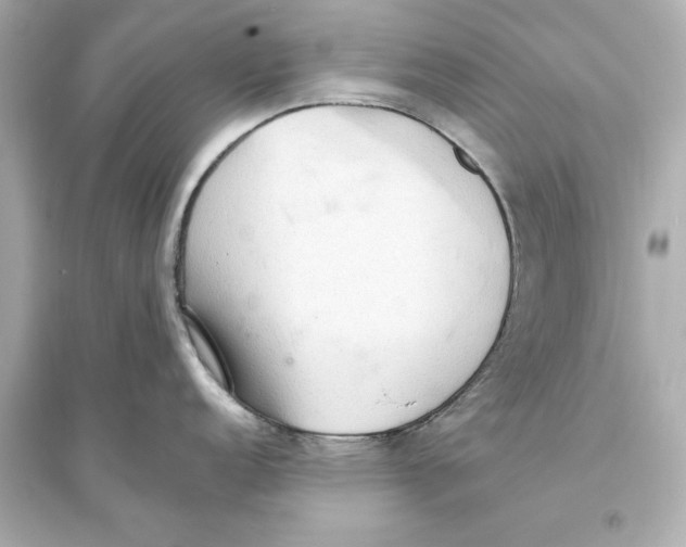 X0000093591152200711121118