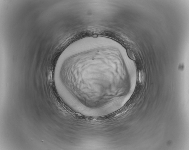 X0000093591155200711121118