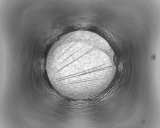 X0000093591156200711121118