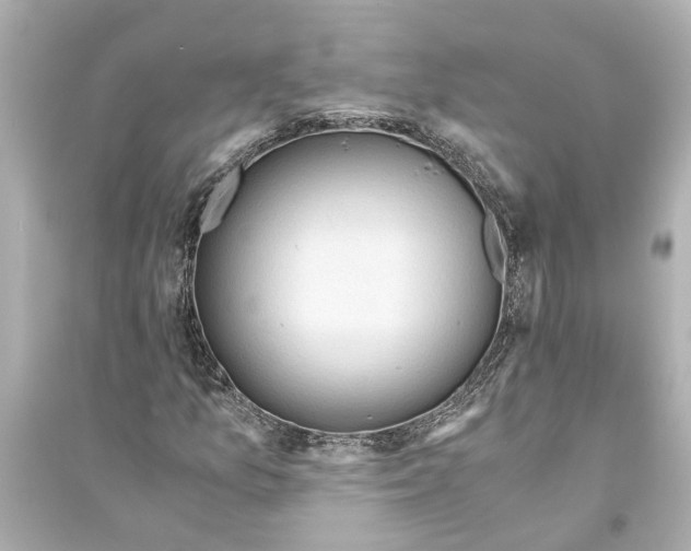 X0000093591157200711121118