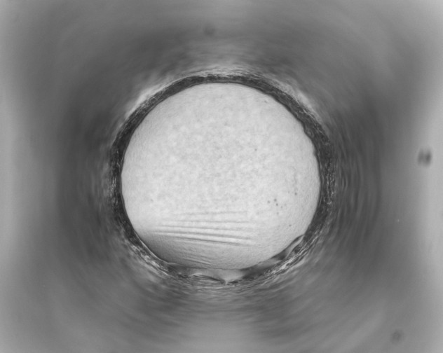 X0000093591160200711121118