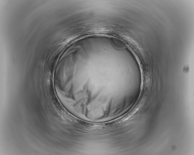 X0000093591161200711121118