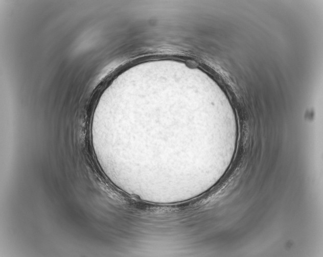 X0000093591163200711121118