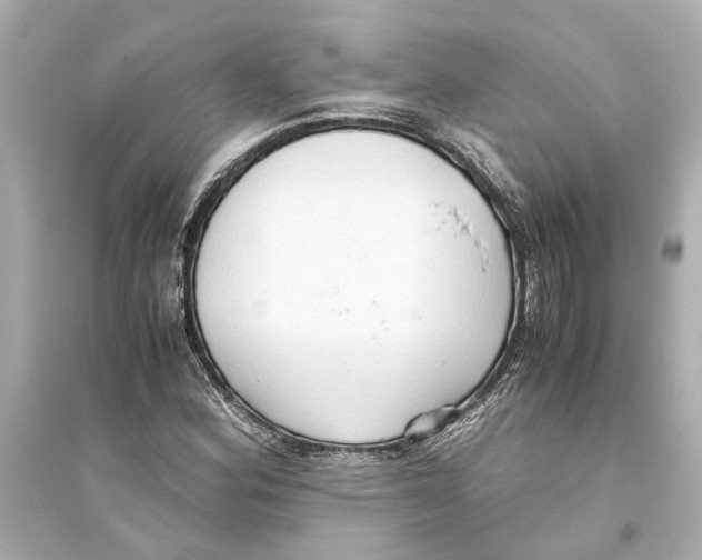 X0000093591164200711121118