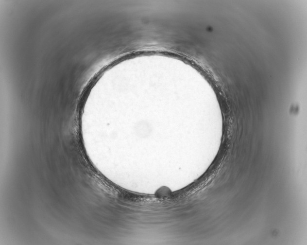 X0000093591167200711121118