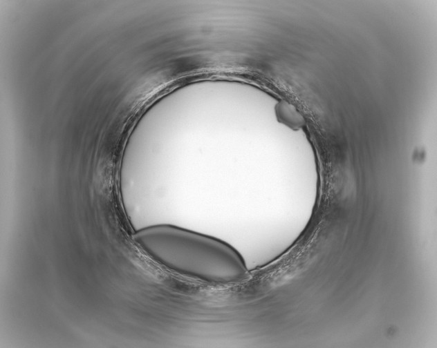 X0000093591169200711121118