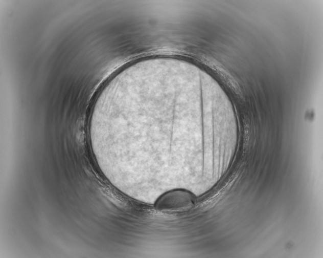 X0000093591170200711121118