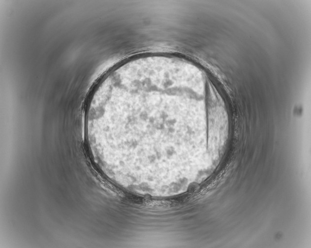 X0000093591171200711121117