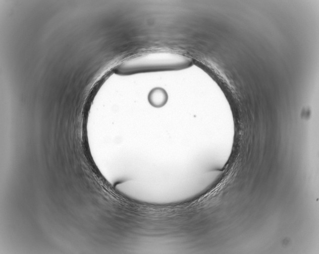 X0000093591173200711121117