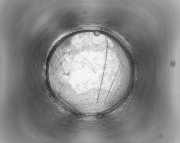 X0000093591174200711121117