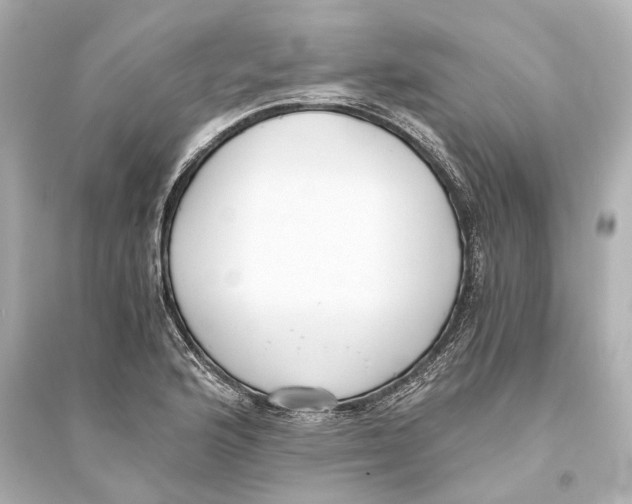 X0000093591176200711121117