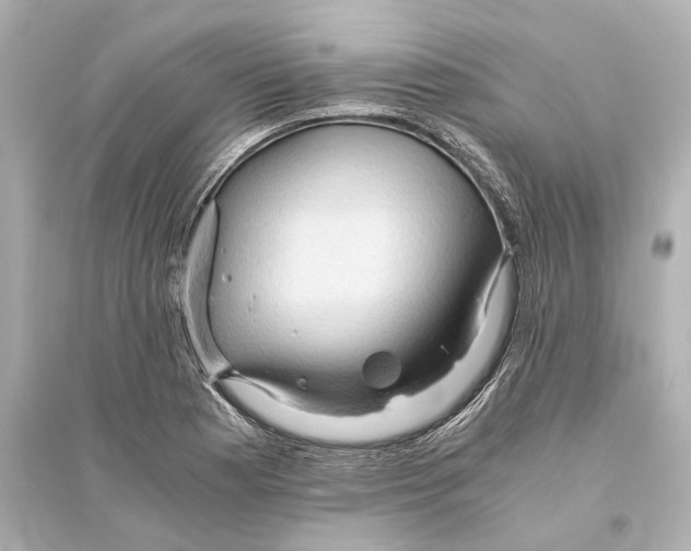 X0000093591177200711121117