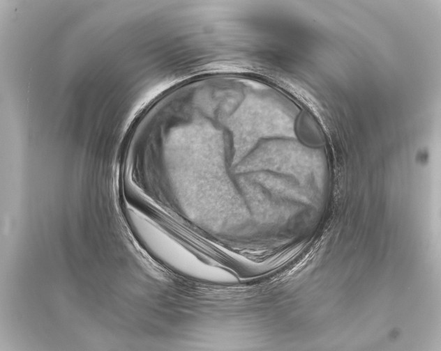 X0000093591179200711121117