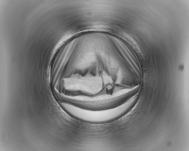 X0000093591180200711121117