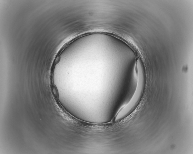 X0000093591181200711121117