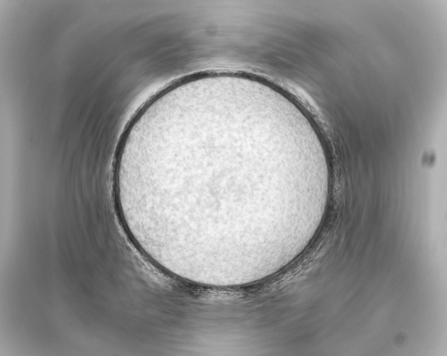 X0000093591183200711121117