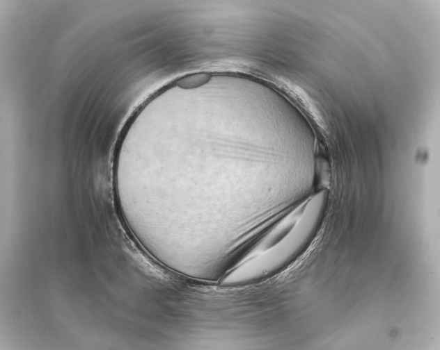 X0000093591184200711121117