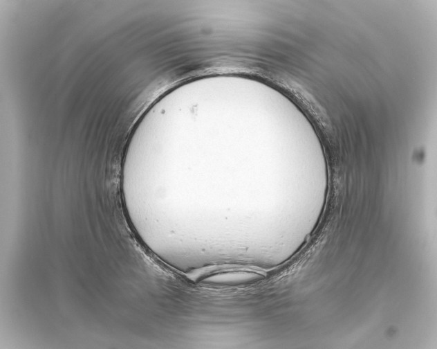 X0000093591185200711121117