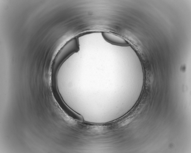 X0000093591188200711121117