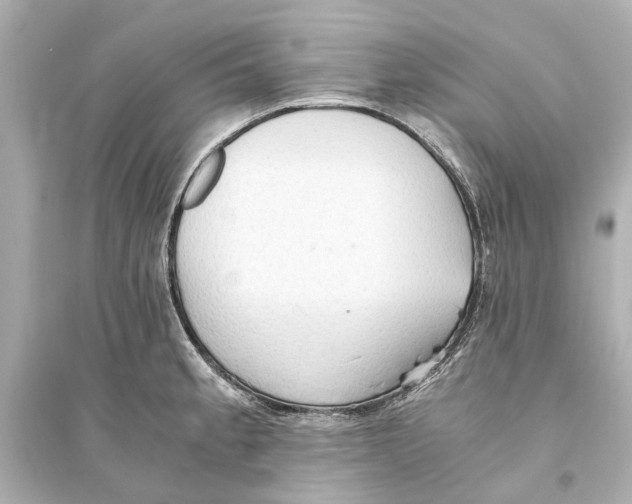 X0000093591189200711121117