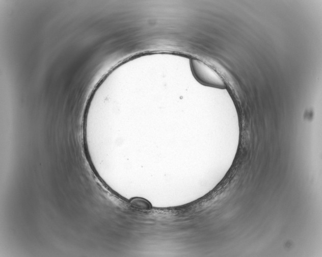 X0000093591191200711121117