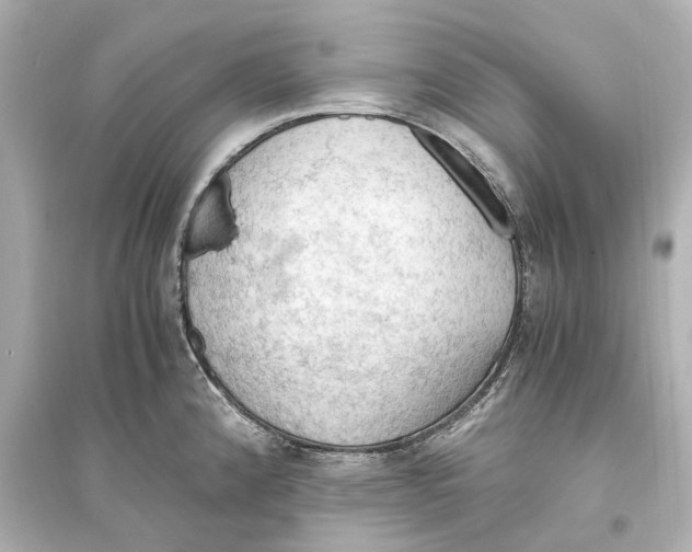 X0000093591192200711121117